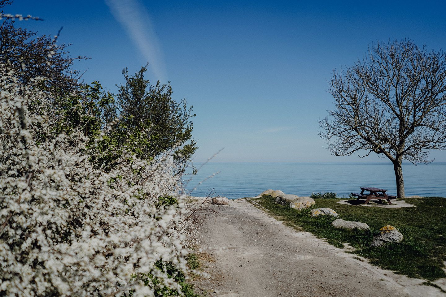 Frühling auf Fehmarn
